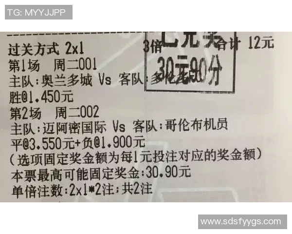 体育实时数据南京排球队在精英赛积分榜上以93分稳居首位展现强劲实力