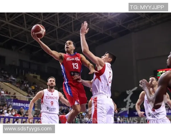 体育实时数据专访杨磊揭秘篮球成功秘诀与职业生涯的成长之路