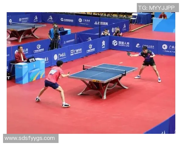 运动数据乒乓球逆袭之路杭州乒乓球队奋勇拼搏的真实故事与荣耀时刻