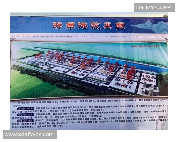 运动最新数据北京篮球队转型之路的挑战与机遇全景分析与展望